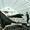 경신농장 이미지