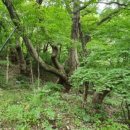 원뜰농장 이미지