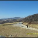 송림축산 이미지