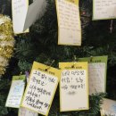 미남이네 | 여수 미남크루즈 선상불꽃놀이 투어 내돈내산 솔직 추천 후기