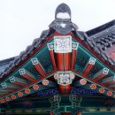 단청 Daum카페
