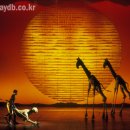 이승환콘서트 이미지