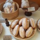 카페다르마 이미지