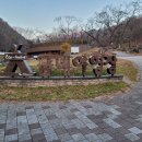 다시 찾아간 가을의 절정, 치악산 금대 야영장