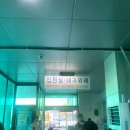 삼육정문약국 | [호주워홀] step 6 신체검사 하고오기 !