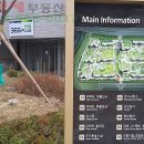 아름동 누리빛문화공원