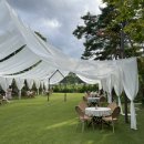 그린카펫 | 기록용 후기, 그린카펫 티가든