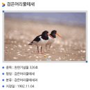 천년날다