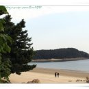 진짜루 - 청양군 닭우리고개길 34 | 진짜루