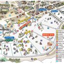 평창송어종합공연체험장 이미지