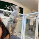예쁜얼굴이쁜몸매 | 혜화 데이트 코스 아이와 미어캣파크 방문 후기