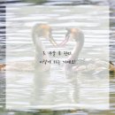 서울굿타임 치과의원 이미지