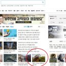 디자인동영