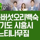 느티나무집 이미지