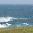 은빛파도 이미지