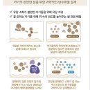 분유갈아타기 성공기, 앱솔루트센서티브 분유추천 유미젖병까지 만족스러워