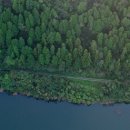 유치면 행정복지센터 이미지