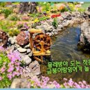 달래네하우스 이미지