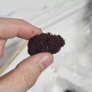 [말랑곳간] 강릉 중앙시장 맛집 말랑쫀득한 인절미 2종 후기