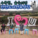 자연의모든것 | 숲나들이 안면도자연휴양림 숙소 예약 수목원 이용 후기