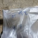 달량진낚시