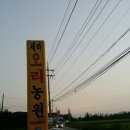 세마오리농원 이미지