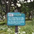 지천솔밭 이미지