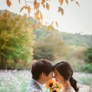 스튜디오더수트 이미지