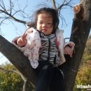 은자농장 이미지