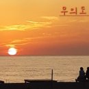 《 2025 을미년을 보내며 》 이미지