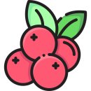 씨에이치바이오샵 &#39;파크랜크랜베리&#39; 복용 후기 (부제: 화장실을 참으면 안되는 이유ㅠㅠ)