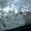 신포우리만두(진월점) 이미지