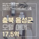 T-모텔 | 충북 음성군 모텔 매매 17.5억, 파격 인하!