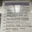 레이첼일산
