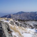 비슬산휴양림운동장 이미지