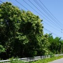 나진청하가든 이미지