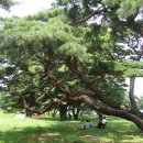 운봉읍 삼산마을 이미지