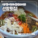 선창횟집 | 태안 필수 여행 코스 블루리본 13개 맛집 선창횟집 갑오징어 물회 내돈내산 후기