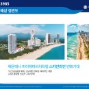 양양별장 Daum카페