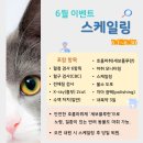 유진덴탈 네이버블로그
