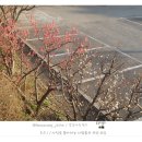 일광역 광장 이미지