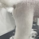 개린이살롱 이미지