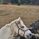 법환마을회관 이미지