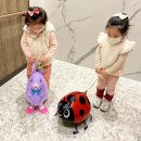 세인푸드 이미지