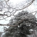 [2026.02.28. 제 110차 정기산행 안내=태백산(1,566.7M] 이미지
