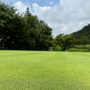 (주)신원그린 네이버블로그