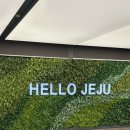 제주 서쪽 애월 여행지 추천 1일차✈️ [몰래물밥상/도두동무지개해안도로/이호테우해수욕장/스타벅스더...