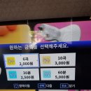 히트코인노래연습장 이미지