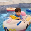 킹덤키즈-D 이미지