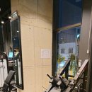 모티어스
